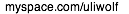blocks_image
